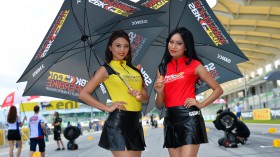 WSBK Sepang Grid Girls