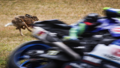 WorldSBK, Most FP1